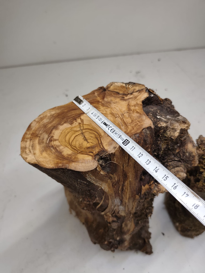 trockenes Olivenbaum Stammstücke 3er Set 71
