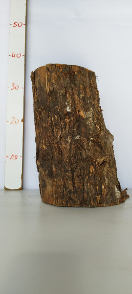 trockenes-Olivenholz-Rohware-Stammstück-500