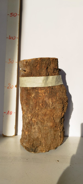 trockenes-Olivenholz-Stammstück-massiv-424