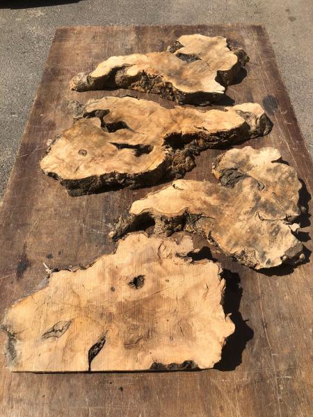 Überraschungskiste de Luxe  Olivenholz Wurzelscheiben Art.Nr. Ü03