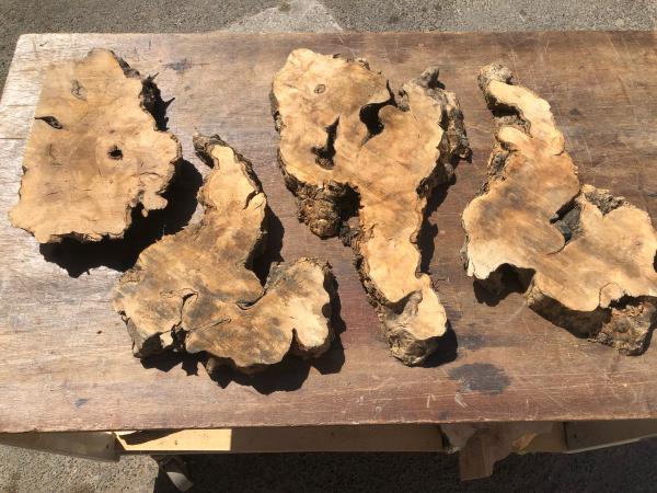 Überraschungskiste de Luxe  Olivenholz Wurzelscheiben Art.Nr. Ü03