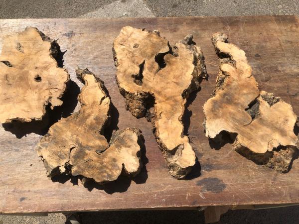 Überraschungskiste de Luxe  Olivenholz Wurzelscheiben Art.Nr. Ü03